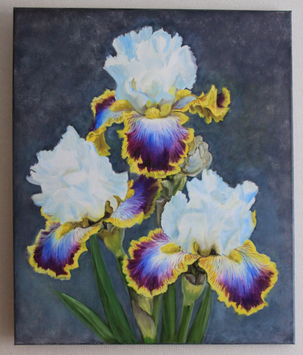 Irises
