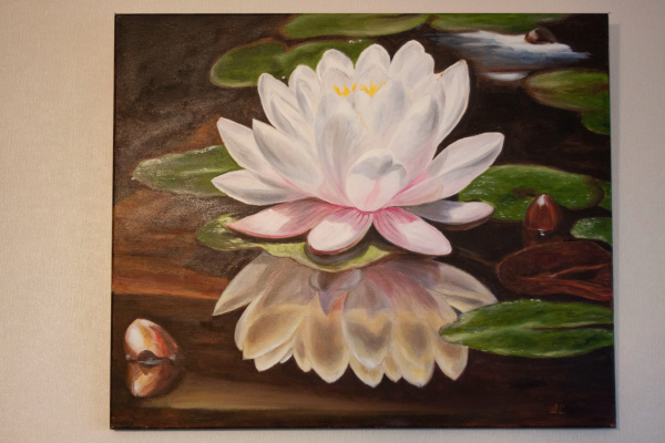 Water lily